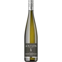 Der Gelbe Muskateller aus der Pfalz zeigt sich im Glas mit einer lebhaften gelb-grünen Farbe. Dieser leichte Weißwein zeichnet sich durch ein ausgewogenes Zusammenspiel von Süße und Säure aus