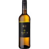 Fruchtige Noten von Apfel und Zitrus entfalten sich im Bukett des Vinum Riesling Classic 2024. Sein Geschmack überzeugt durch eine filigrane Struktur und eine lebendige