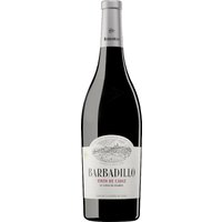 Kernige Akzente prägen diesen Rotwein aus Cádiz: Im Glas entfalten sich Aromen von saftigen Kirschen