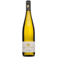 Silvaner ist die wichtigste Rebsorte in Franken und infolgedessen auch für das Traditionsweingut Hans Wirsching unverzichtbar. Eine Rebsorte