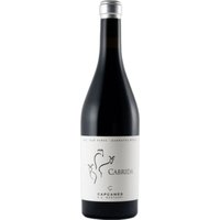 Der Rotwein aus Montsant besticht durch seine intensive