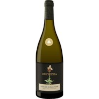Am Kaiserstuhl entstehen im Sasbacher Keller sorgfältig ausgewählte Weine der Edition Orchidea. Der 2023er Limburg Grauer Burgunder besticht durch den Ausbau im Edelstahl und 500-Liter-Holzfass sowie ein langes Hefelager. Das Bouquet vereint Mirabellen