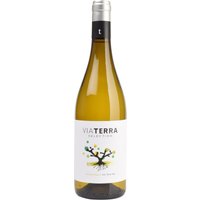 Saftige Noten von Birne und Melone verleihen dem Weißwein Frische und Ausdruckskraft. Der Edetaria Via Terra Selection Blanco 2024 zeigt sich besonders fruchtbetont