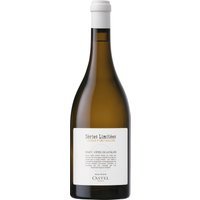 Maison Castel Chablis präsentiert einen Chardonnay aus der Bourgogne