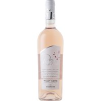 Siziliens mediterranes Klima zeigt sich im Andrero Rosa di Pinot Lucido Pinot Grigio 2024 in einem zart rosafarbenen Roséwein. Er beeindruckt mit einer frischen