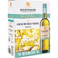 Der 2023er Jechtinger Grauburgunder Bio von der Jechtinger Weinmanufaktur beeindruckt mit zarten Aromen von Pfirsich