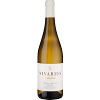 Die Bodega Nivarius in der Rioja hat sich ausschließlich Weißweinen verschrieben. Das kühle Klima auf der Weinbergs-Nordseite