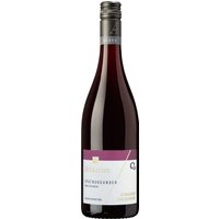 Der 2022er Achkarrer Schlossberg Spätburgunder Qualitätswein von der Winzergenossenschaft Achkarren begeistert mit seiner satten