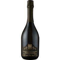 Der Cecilia Beretta Prosecco Superiore Conegliano 2023 von Pasqua Vigneti e Cantine ist ein komplexer Jahrgangs-Prosecco aus dem Gebiet Conegliano-Valdobbiadene. Die Familie Pasqua hat mit dieser Cuvée einen eleganten Schaumwein geschaffen. Der Wein fasziniert mit einem intensiven Duft von saftiger Mango