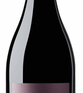 Das Weingut Emil Bauer macht mit außergewöhnlichen Rebsorten von sich reden. Die Barbera passt besonders gut in die Pfalz.