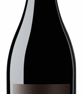 Die edelste Rotweinsorte Italiens auf Ausflug in der Südpfalz. Was dabei herauskommt ist erstaunlich typisch