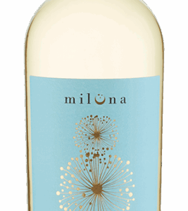 Pinot Grigio aus Apulien