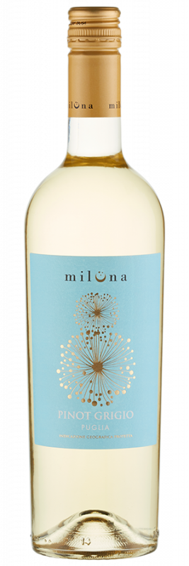 Pinot Grigio aus Apulien