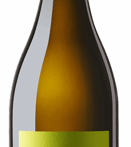 Für Liebhaber der Rebsorte genau wie Neulinge - bei diesem Sauvignon Blanc gibt es für jeden etwas zu entdecken.