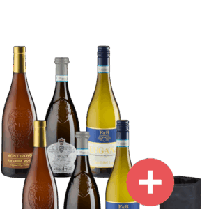 6er-Paket Lugana mit Kühlmanschette