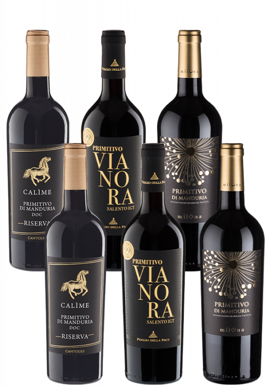 6er Primitivo-Champions