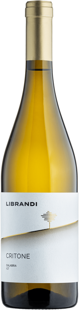 Librandi Critone Bianco 6er Vorratspaket – Bild 2