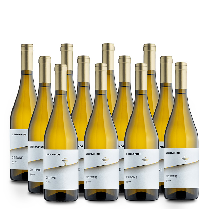 Librandi Critone Bianco 12er Vorratspaket – Bild 3