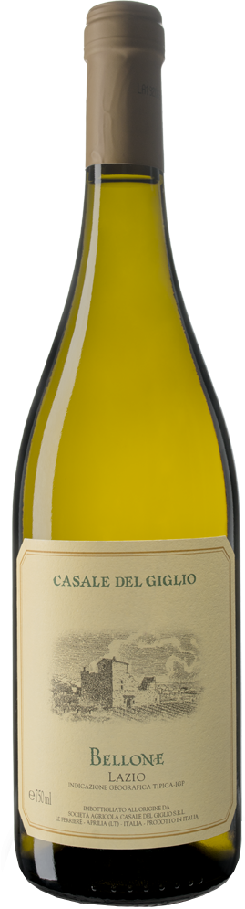 Vinolisa Selezione Das ultimative Spargel - Weinpaket – Bild 4