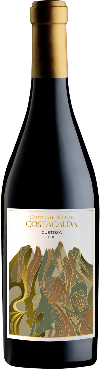 Vinolisa Selezione Das ultimative Spargel - Weinpaket – Bild 5