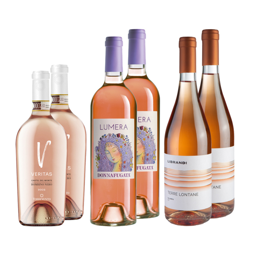 Vinolisa Selezione Spitzen-Rosato aus Süditalien Probierpaket – Bild 5