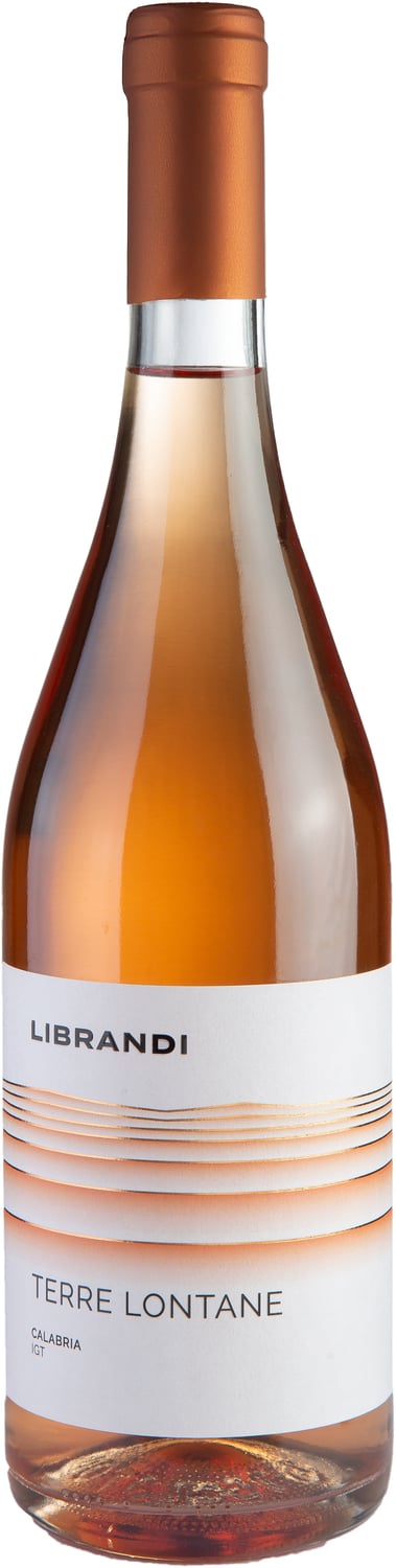 Vinolisa Selezione Spitzen-Rosato aus Süditalien Probierpaket – Bild 2