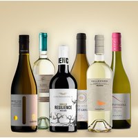 Vinolisa Selezione Weißwein-Expedition durch Italien