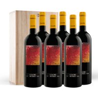 Bibi Graetz Colore Toscana Rosso IGT 2022  - 6 Flaschen in Original Holzkiste