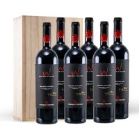 Poggio al Tesoro Dedicato a Walter Bolgheri Superiore DOC 2015 6 Flaschen in Original Holzkiste