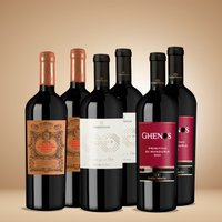 Vinolisa Selezione Prima Primitivo Paket