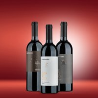 Librandi "Rotes Kalabrien:" 3 kalabrische Rotweine im Paket