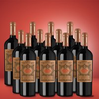 EVITA Primitivo di Manduria Ris. 12er Vorratspaket