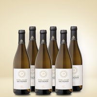 Gries Sauvignon 6er Vorratspaket