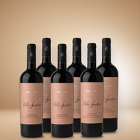 Leone de Castris Villa Santera Primitvo 6er Vorratspaket