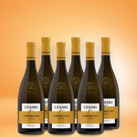 Cesari Lugana Cento Filari 6er Vorratspaket