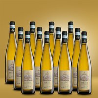 Visconti Lugana Collo Lungo 12er Vorratspaket