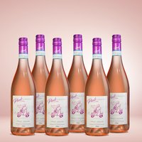 Pink Grigio Pink Grigio 6er Vorratspaket