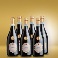 Santi Folàr Lugana 6er Vorratspaket