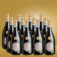 Santi Folàr Lugana 12er Vorratspaket