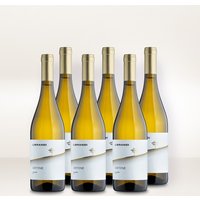 Librandi Critone Bianco 6er Vorratspaket