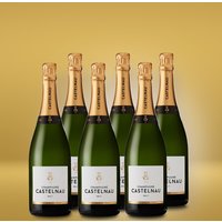 Champagne Castelnau Champagne Castelnau Brut Reserve 6er Vorratspaket