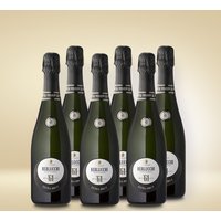 Berlucchi Franciacorta Extra Brut 0,375l 6er Vorratspaket