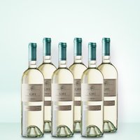 Marchesi di Barolo Gavi 6er Vorratspaket