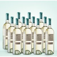 Marchesi di Barolo Gavi 12er Vorratspaket