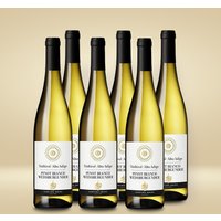 Gries Gries Weißburgunder 6er Vorratspaket