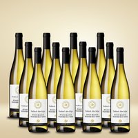 Gries Gries Gewürztraminer 12er Vorratspaket