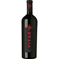 Torrevento Vitae Appassimento Puglia IGT 2023