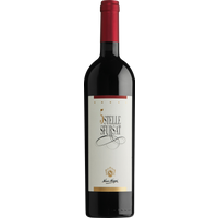 Nino Negri Sfurstat 5 Stelle Forzato Di Valtellina DOCG 2021