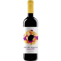 Cantina Tollo Prima Bacca Novello Terre di Chieti IGT 2025