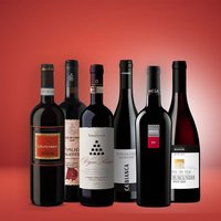 Vinolisa Selezione Wald & Wild Feinschmecker Herbstweinpaket